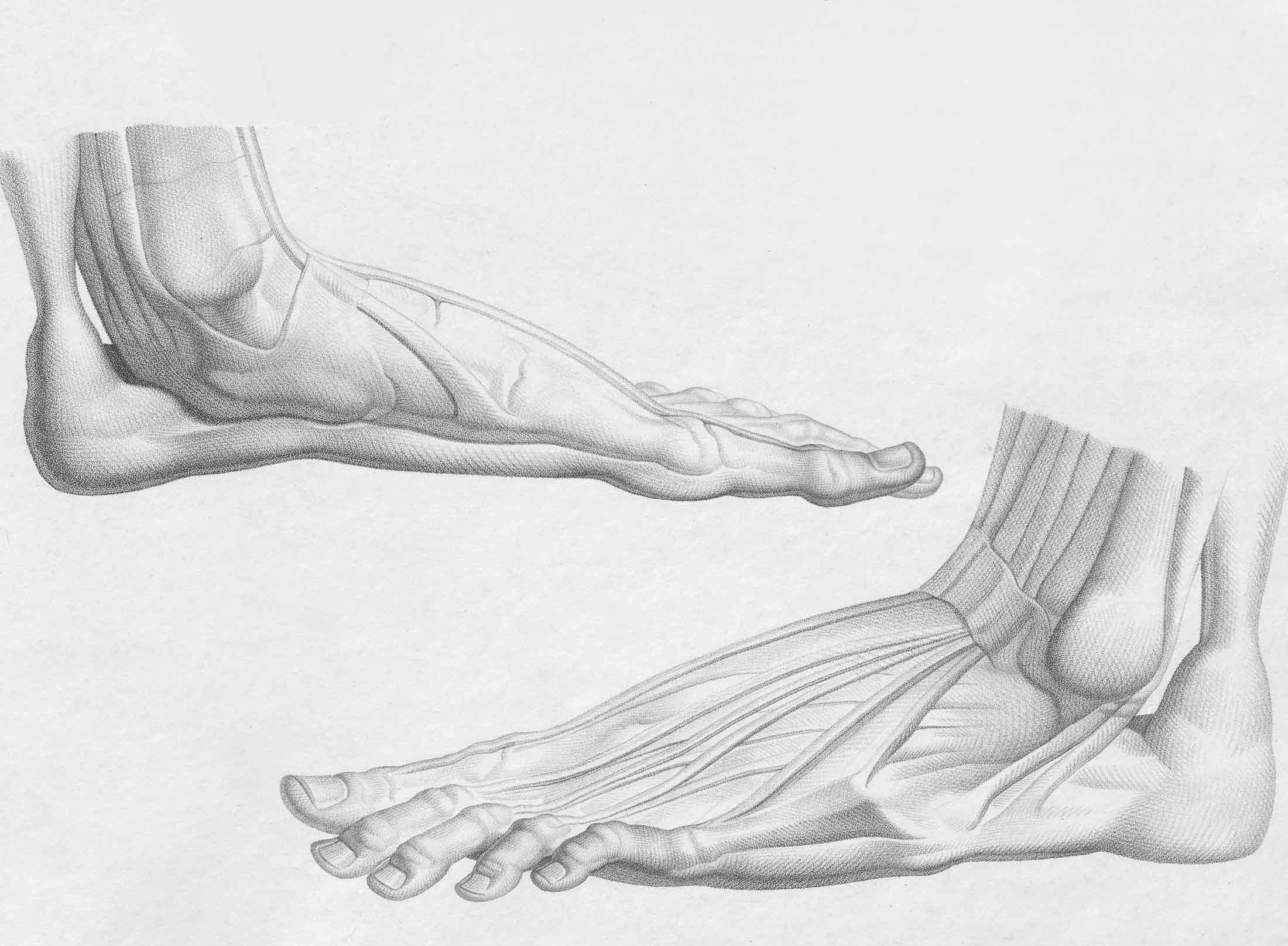 Podiatrist_in_Johannesburg_Heel-4_2200 Podiatrist_in_Johannesburg_Heel-4_2200